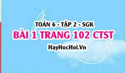 Giải bài 1 trang 102 Toán 6 Tập 2 Chân trời sáng tạo